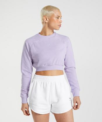 Dámské Accessories Gymshark Tréninková Cropped Svetrové Fialové | CZ 3776LIS